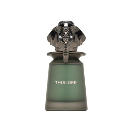 Thunder French Avenue Eau de Parfum Hombre 100ml